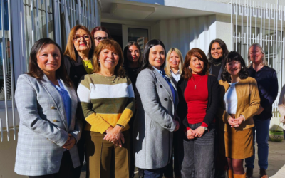 Representantes de Relaciones Internacionales miembros del CRUCH se reúnen en la UdeC