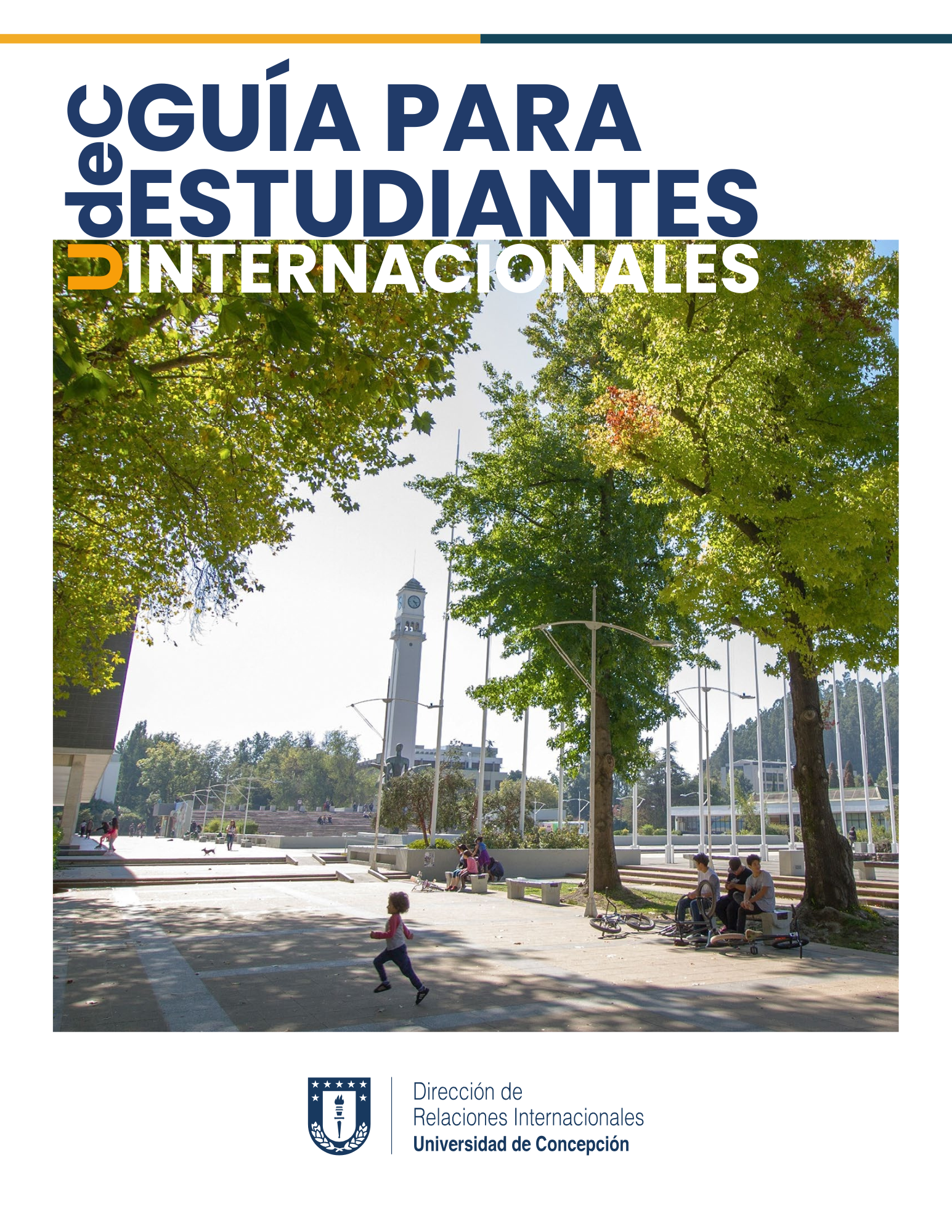 Guia de Instalacion-ESPAÑOL.pdf