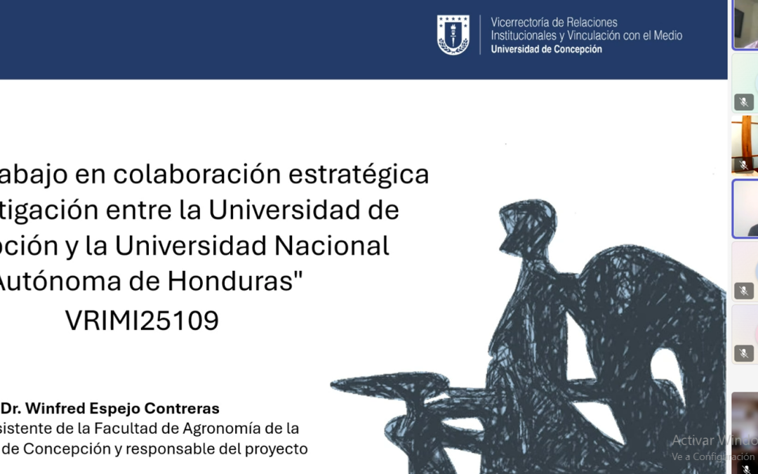 UdeC y UNAH lanzan proyecto VRIM de Internacionalización en temáticas socioambientales
