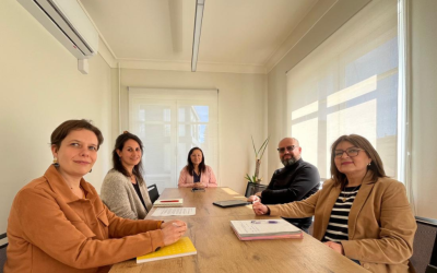 Académicos UdeC se reúnen con Equipo DRI para avanzar en proyecto de cooperación con Universität des Saarlandes, Alemania