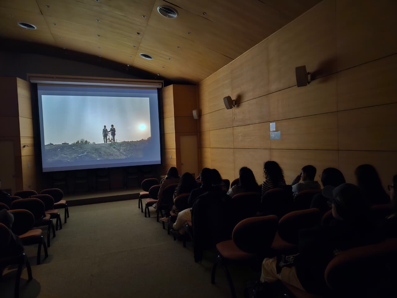 Cine Chileno 6